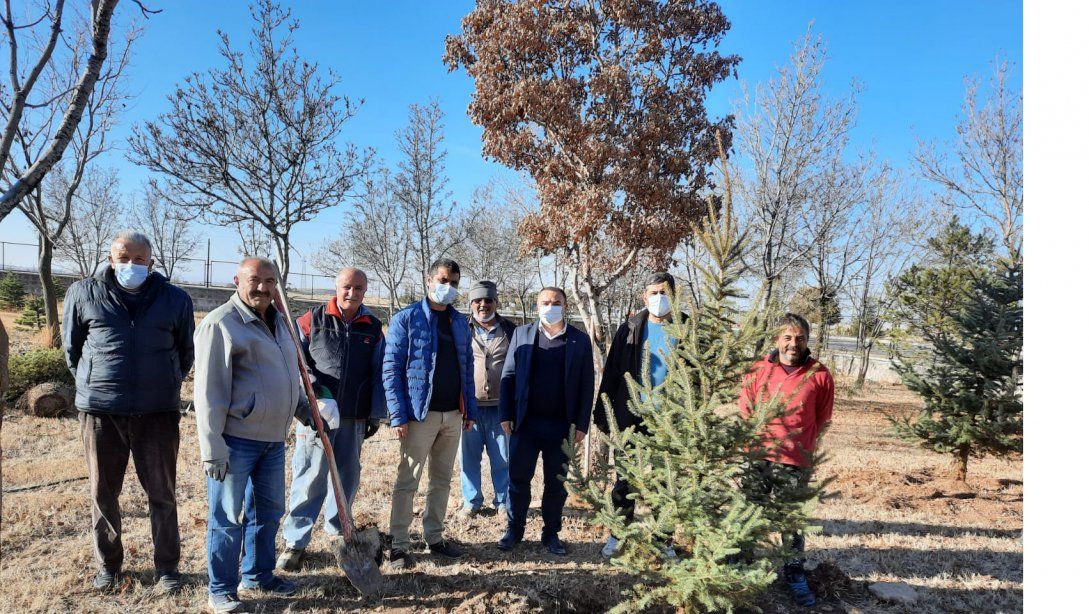 Kapadokya Çok Programlı Anadolu Lisesi Ağaçlandırma Çalışması